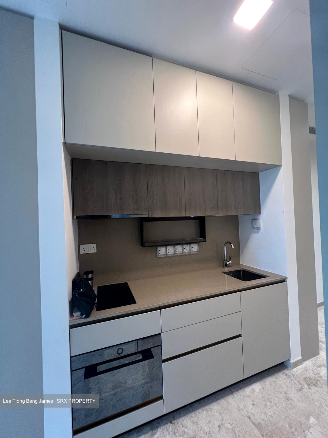 The Avenir (D9), Condominium #450796361